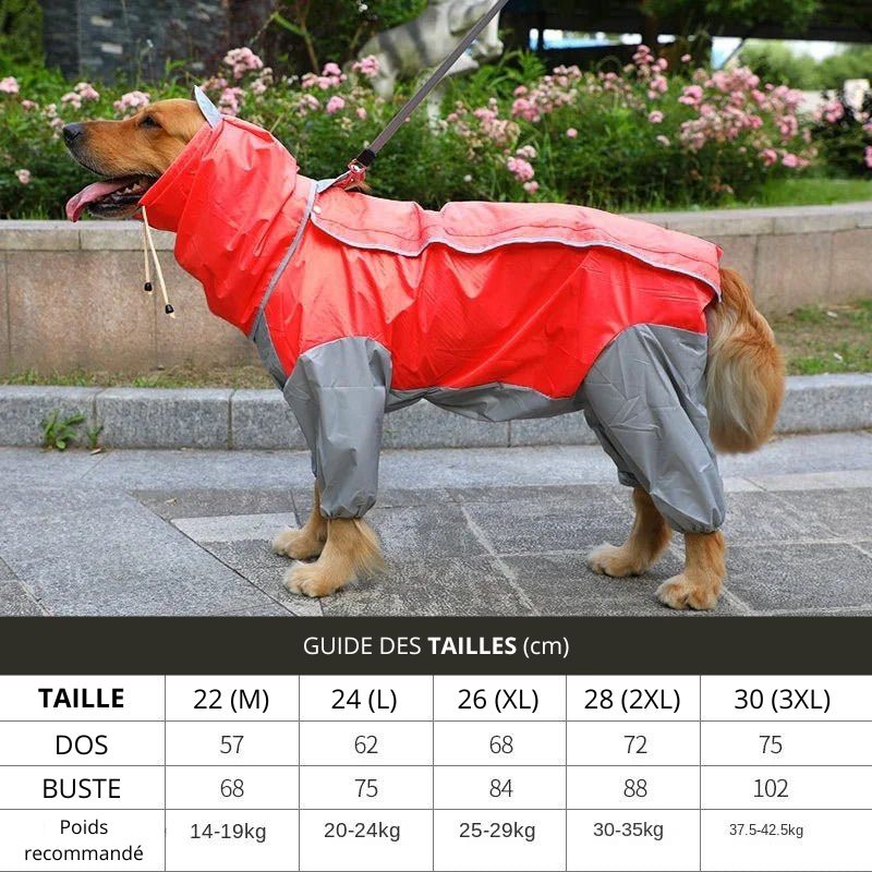 Manteau de Pluie pour Chien