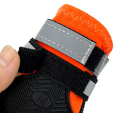 Chaussure Montagne Chien