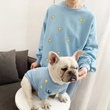 Pull Maitre et Chien Assortis
