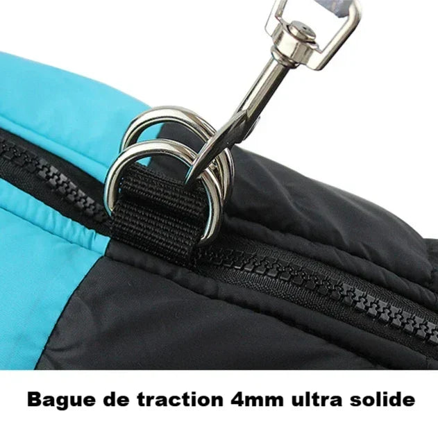 Manteau American Staff et Chien Moyen