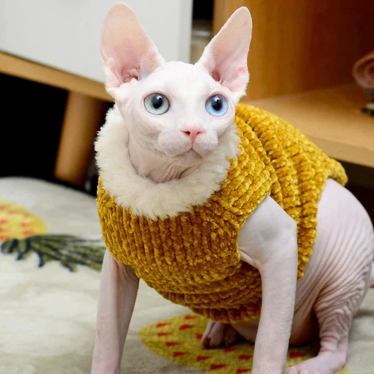 Pull à Fourrure pour Chat