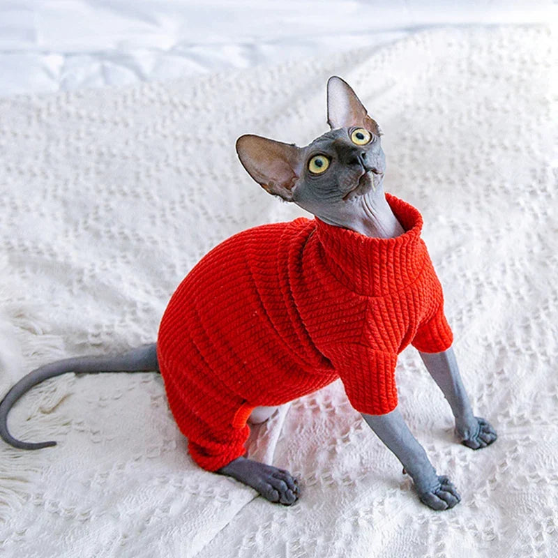 Pyjama Tricot Sphynx