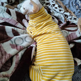 Pull Rayé Col Roulé pour Chat