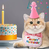 Chapeau Anniversaire Chat