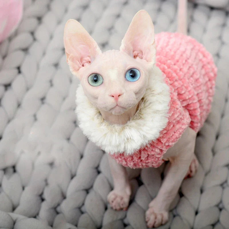 Pull à Fourrure pour Chat