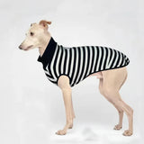 T-Shirt Rayé En Coton Pour Lévrier Et Whippet