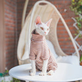 Pull à Rayures Col Roulé Chat