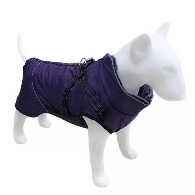 Veste Fourrure Chien