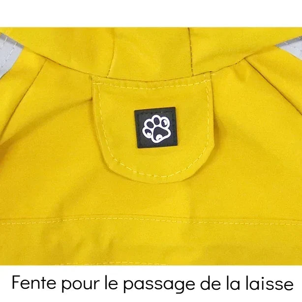 Imperméable Chien avec Capuche