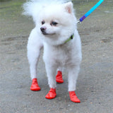 Chaussette Silicone Chien