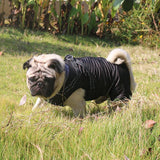 Veste Fourrure Chien