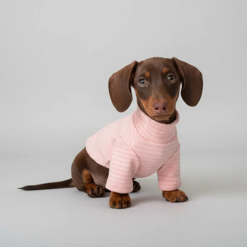 Sweat Rayé Elégant Pour Chien Teckel