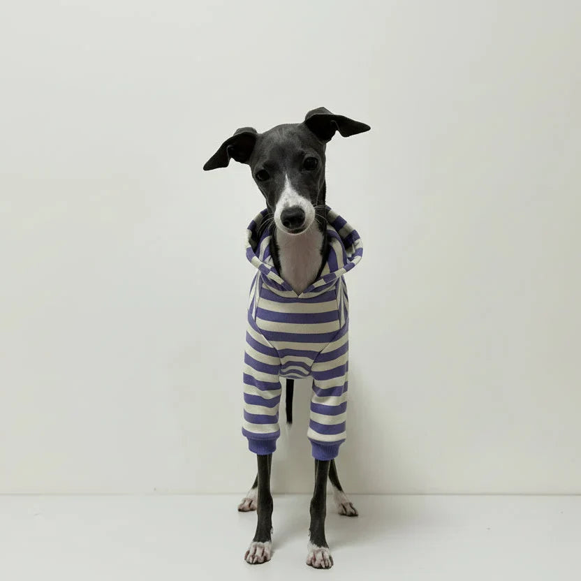 Polo Rayé En Coton Pour Chien Lévrier Et Whippet