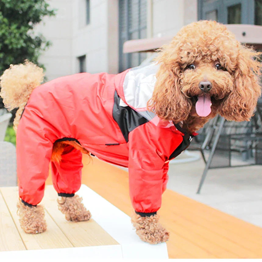 Manteau Intégral Chien