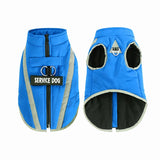 Veste Chien Hiver