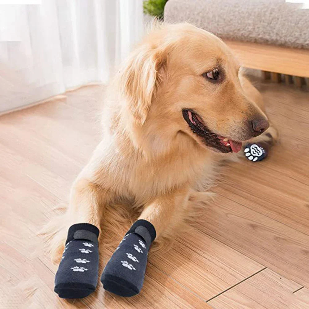 Chaussette pour Chien Parquet Antidérapant