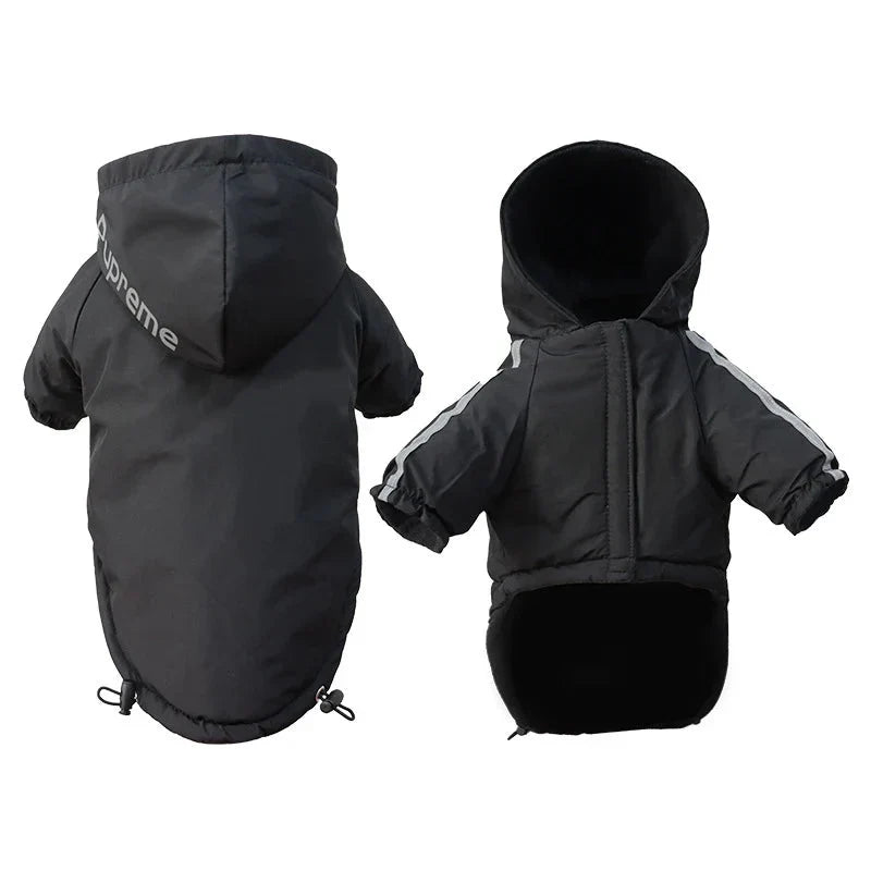 Anorak Chien Petit et Moyen