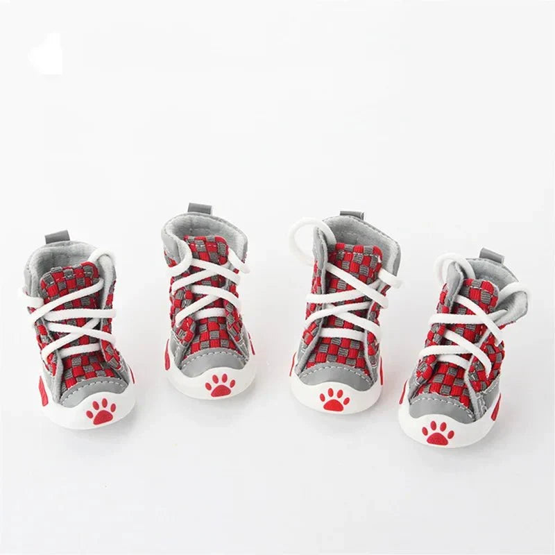 Baskets rouges chien