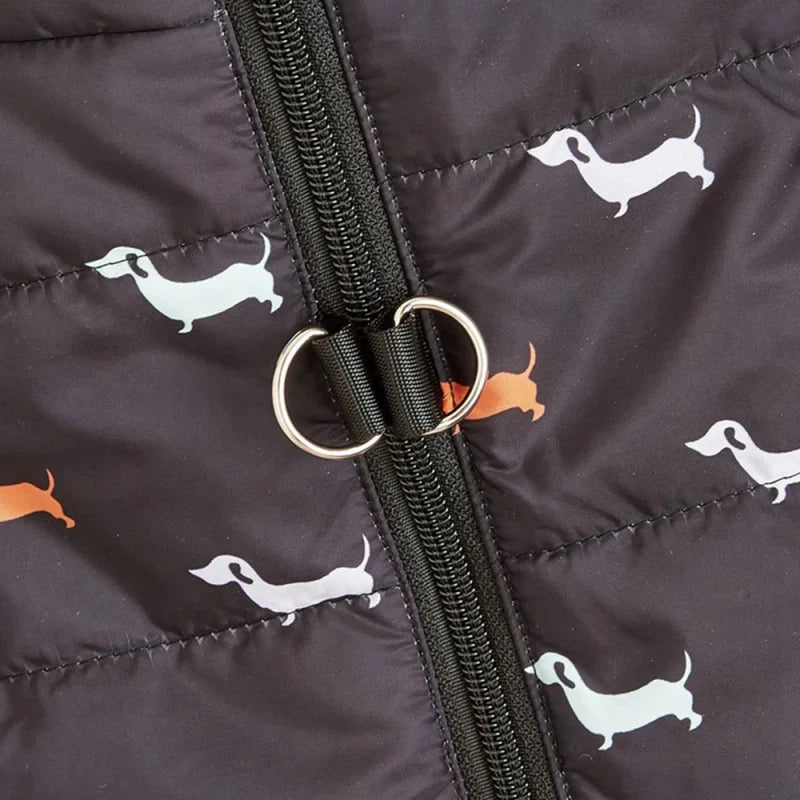 Blouson pour Petit Chien
