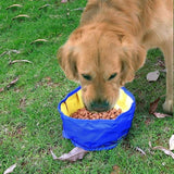 Bol Portable De Voyage Pour Chien Pliable