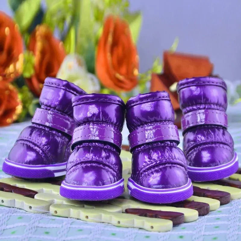 Bottes Chien Traineau