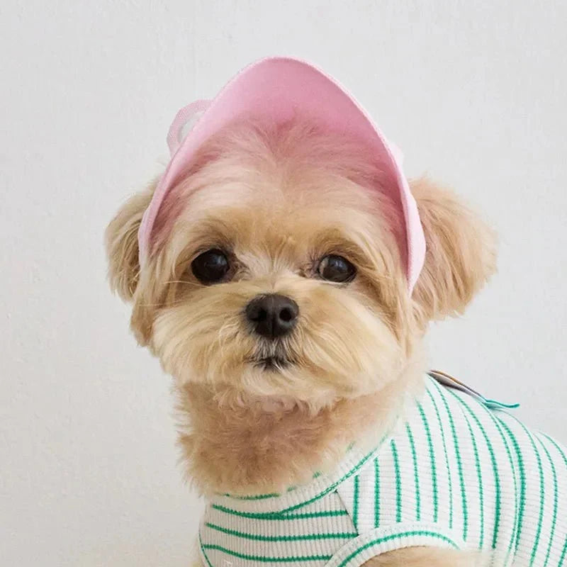 Casquette Oreilles Lapin pour Chien