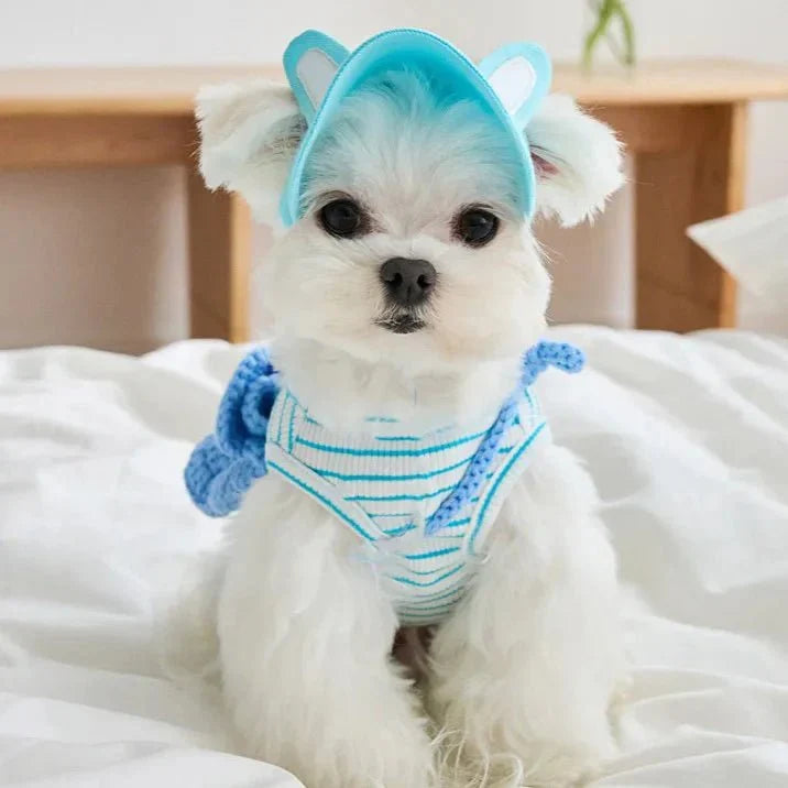 Casquette Oreilles Lapin pour Chien
