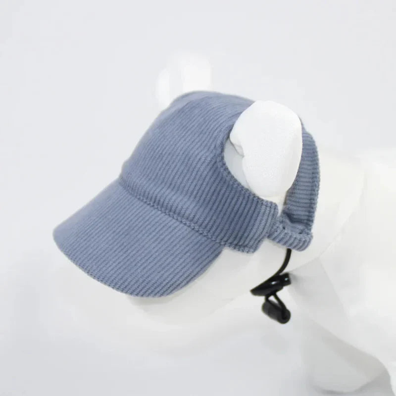 Casquette pour Chien Moyen