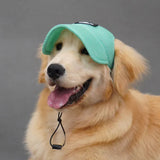 Casquette pour Golden & Grand Chien