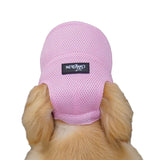 Casquette pour Golden & Grand Chien