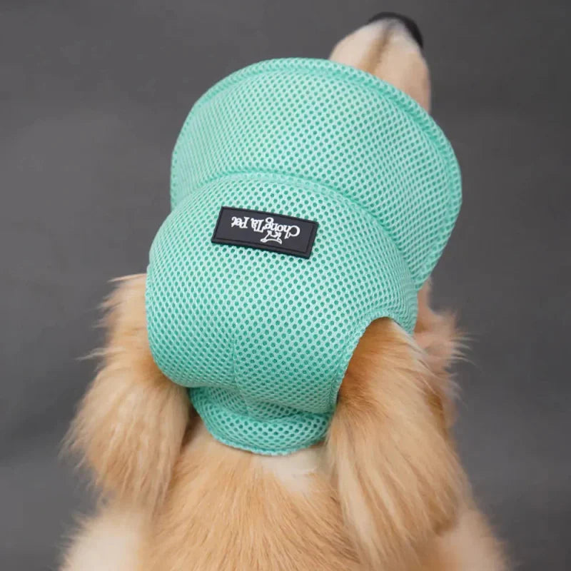 Casquette pour Golden & Grand Chien
