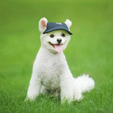 Casquette pour Golden Retriever & Moyen Chien