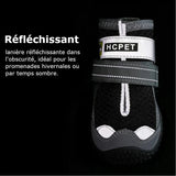 Chaussure Chien Randonnée