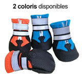 Chaussure Montagne Chien