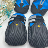 Chaussure Montagne Chien