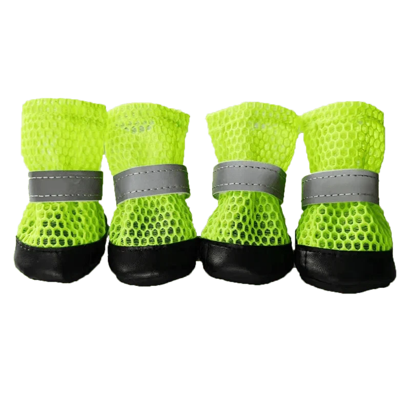 Chaussures Chien Été Vert
