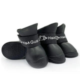 Chaussures d'Eau Chien Noir