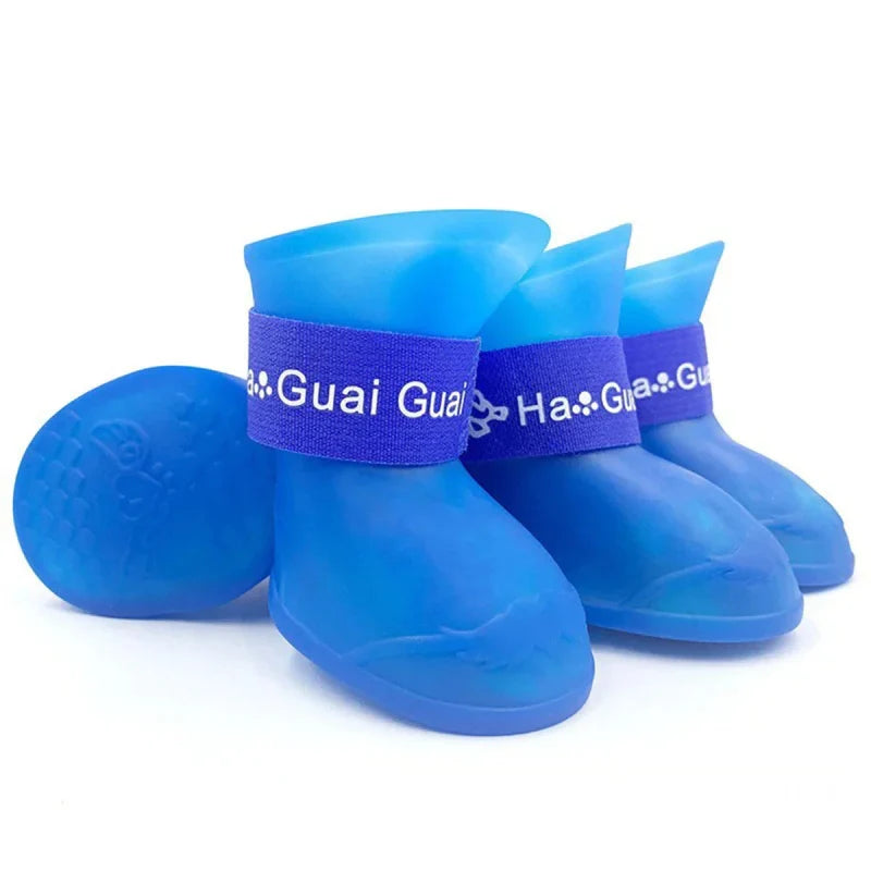 Chaussures d'Eau Chien Bleu