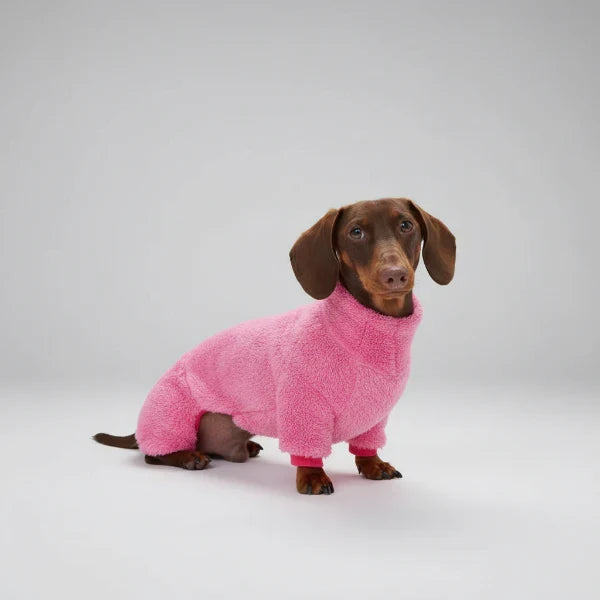 Pull Polaire Confortable Pour Teckel
