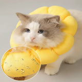 Collerette De Protection Fleur Pour Chat