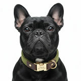 Collier Doux Personnalisable Pour Chien