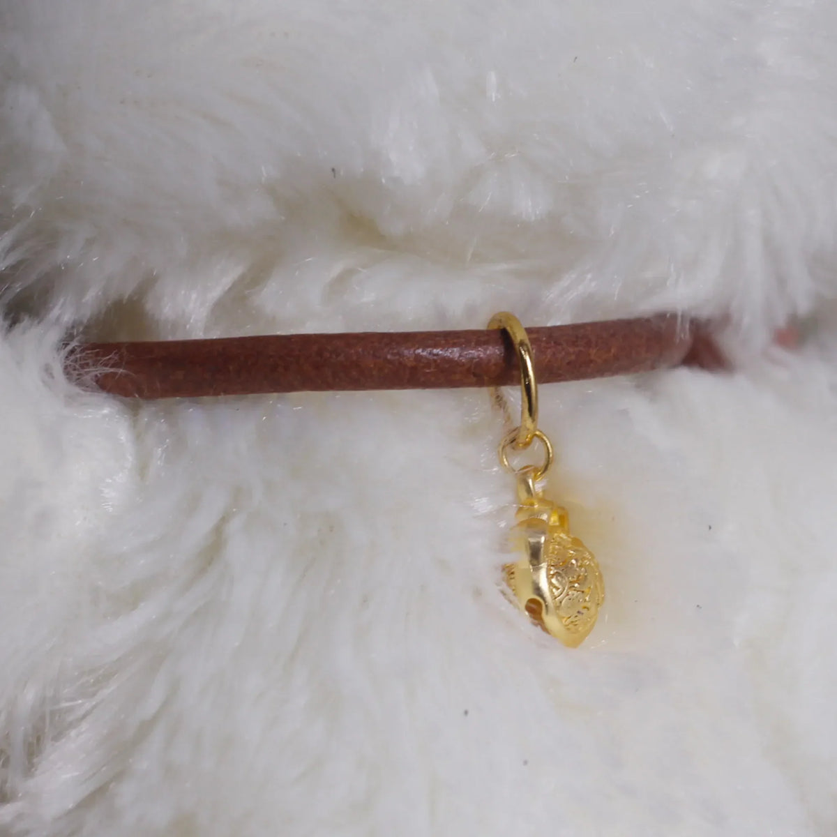 Collier Elégant En Cuir Véritable Pour Chat