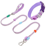 Ensemble collier et laisse pour chien en violet et rose, idéal pour les promenades confortables