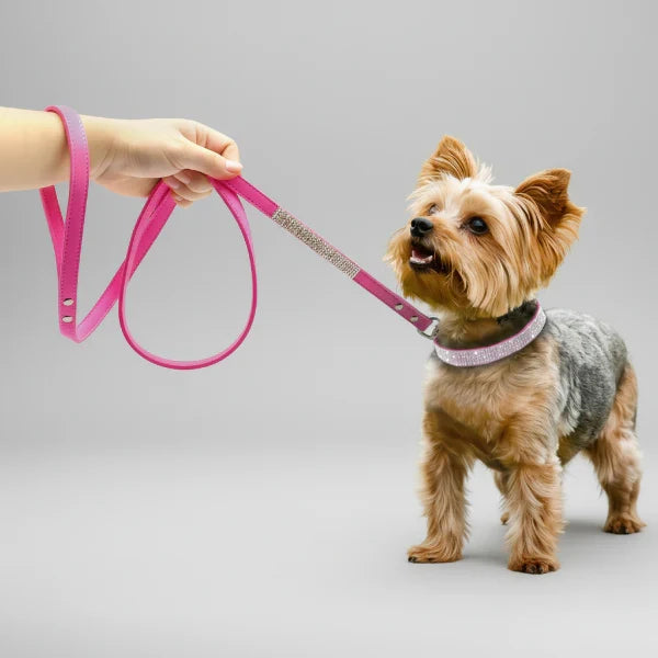 Collier pour Chien en pierres fines, stylé et ultra résistant
