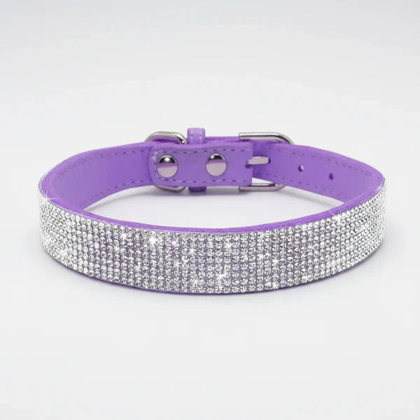 Collier strass pour chien en cuir violet orné de cristaux brillants pour un look élégant