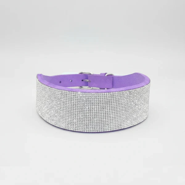 Collier strass pour chien en cuir violet avec un design scintillant et élégant