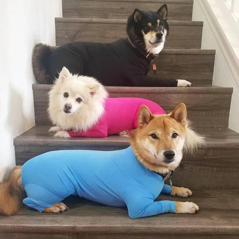Combinaison Chien