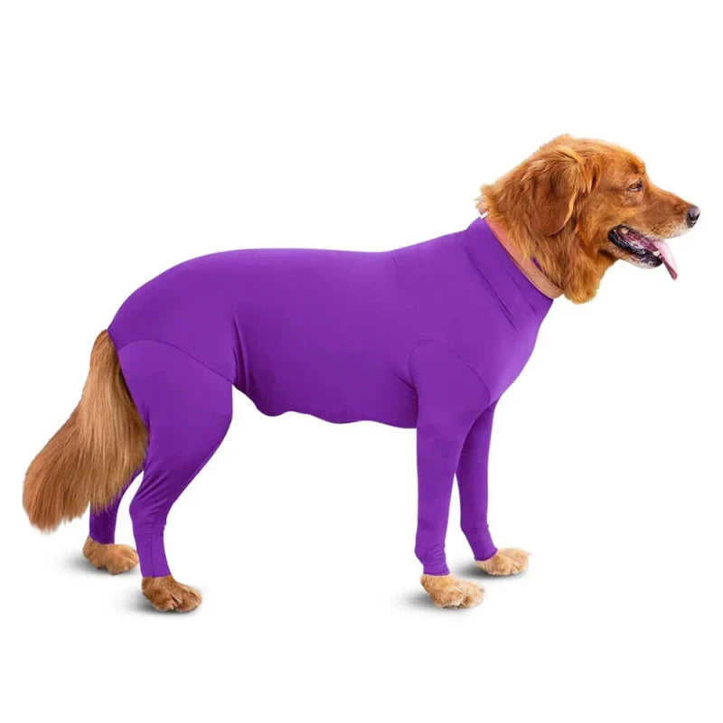combinaison chien moulante violet