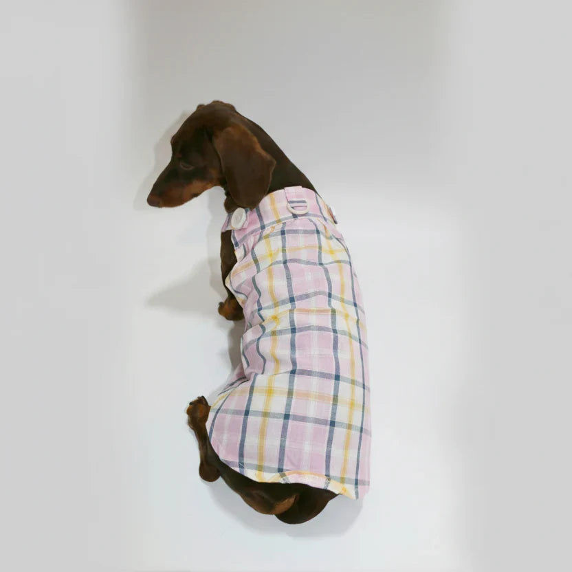 Combinaison Été Léger Pour Chien Teckel