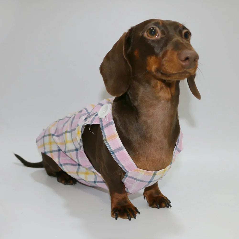 Combinaison Été Léger Pour Chien Teckel